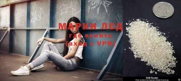 соль ск Гусев