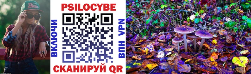 Псилоцибиновые грибы прущие грибы  Купить  Кирсанов 