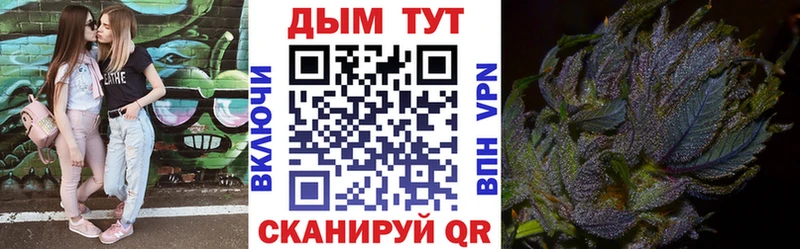 Конопля SATIVA & INDICA  Купить закладки  Кирсанов 